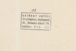 Seidner Zoltán(1896-1960): Szobabelső, pecséttel jelzett, fotó, felületén kis szakadással és törésny...