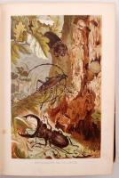 Brehms Tierleben. Insekten. Allgemeine Runde des Tierreichs. Mit 1800 Abbildungen im Text, 9 Karten ...