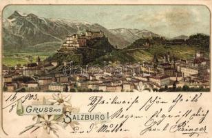 Salzburg city view. Floral litho