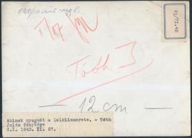 Tóth Jolán (?-?): Akinek nyugodt a lelkiismerete (1943), fotó, hátulján feliratozva, egyik sarkán ki...