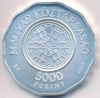 2009. 5000Ft Ag "Dohány utcai zsinagóga" T:BU Tanúsítvánnyal