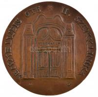 1994. "Dr. Imre György 1984-1994 / Semmelweis OTE II. Szemklinika" Br plakett. Szign.: P.B...