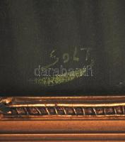 Solt jelzéssel: Orgonás csendélet. Olaj, vászon, keretben, 40×50 cm