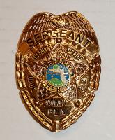 USA "Florida Deputy Sheriff" jelvény másolat, tanúsítvánnyal T:1