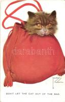 Dont let the cat out of the bag s: Lawson Wood