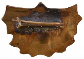 1956. "Szorgalom és jó magaviselet jutalmául" aranyozott fém jelvény (26x18mm) T:2