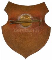 DN "Fürst Sándor Gimnázium" zománcozott fém jelvény (28x24,5mm) T:2