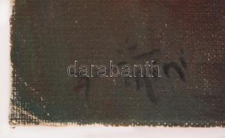 Olvashatatlan jelzéssel: Fekvő nő. Olaj, vászon kartonra kasírozva, 28x41cm