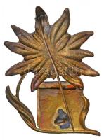 ~1930. "MTE (Magyar Turista Egyesület)" aranyozott, zománcozott fém jelvénye (40x29mm) T:2...