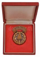 ~1970. "Az Építőipar Kiváló Dolgozója" Br kitüntetés eredeti tokban, egyik lánc elszakadt ...