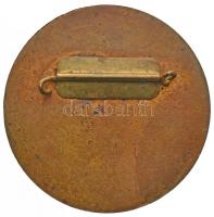 ~1950-1960. "Üzemi tűzoltó" festett Br jelvény (40mm) T:2- tű letört