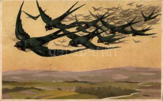 Swallows, 6008. litho (fl)