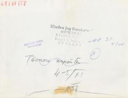 cca 1970 Vámos László: Tavaszi napsütés a Duna parton, fotó,jelzett,Magyar Hírek Szerkesztősége pecs...