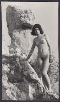 cca 1960-1970 A természetjáró szabadsága, finoman erotikus aktfotó, 21x12 cm / erotic photo
