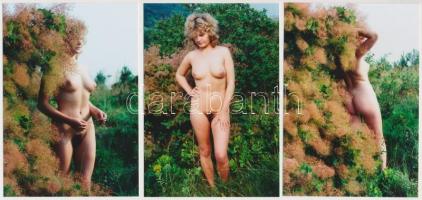 cca 1980 A természet ébredése, 10 db finoman erotikus fénykép, 13x9 cm /
cca 1980 10 erotic photos,...