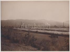 cca 1920 Máramarosszigeti téglagyár látképe és a téglaégetéshez szükséges fűtőanyag előkészítése, 2 ...