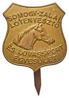 ~1930. "Somogy Zalai Lótenyésztő és Lovassport Egyesület" Br jelvény (31x30mm) T:2