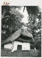 cca 1970 ifj. Novotta Ferenc: Velem. Borospince. Verzón feliratozva, jelzett, apró szakadással,21x17cm