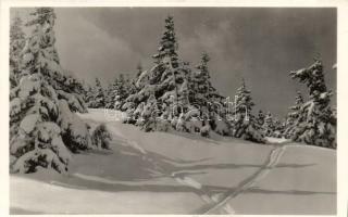 Pozsáló, MTE rozsnyói osztályának menedékháza / rest house