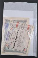 Budapest 1941. "Magyar Czukoripar Részvénytársaság" részvénye 600P-ről szelvényekkel, szár...