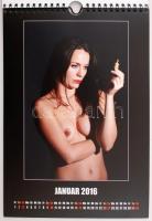 Schach 2016, erotikus sakknaptár a 2016. évre, jó állapotban