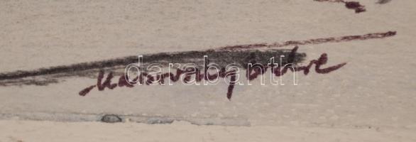 Marsovszky Endre (1916-1989): Tihanyi belső tónál, vegyes technika, jelzett, papír, 27x36cm