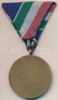 1965. "Árvízvédelemért Érem" patinázott Br kitüntetés mellszalaggal dísztokban T:1-,2
NMK...