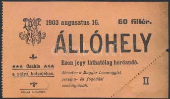 1903 Lóversenyre szóló 60 filléres, állóhelyet biztosító belépőjegy