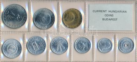 1981. 2f-10Ft 9db klf érmés forgalmi sor fóliatokban T:1