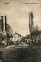 Csíkszereda, Apafi utca, "Éljen Dr. György Pál Domokos" zászló; Bíró József felvétele / street, flag (vágott / cut)