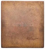 ~1930. "MOVE (Magyar Országos Véderő Egylet)" Br plakett (50x45mm) T:2,2-