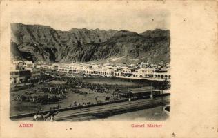 Aden, Camel market