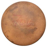 1973. "IX. Nyári Úttörő Olimpia Dunaújváros" Br emlékérem (59mm) T:2