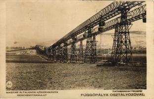 Tatabánya, Magyar Általános Kőszénbánya Részvénytársulat telepe, Függőpálya osztályozó (vágott / cut)