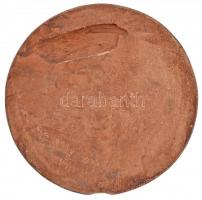 1959. "A Magyar Vöröskereszt I. Országos Kongresszusa" kerámia plakett (133mm) T:2- nagyob...