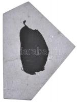 1980. "BM (Belügyminisztérium) Országos Járőrverseny 1980" fém plakett (165x120mm) T:2