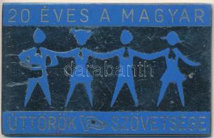 1966. "20 éves a Magyar Úttörők Szövetsége" zománcozott fém plakett (43x69mm) T:2