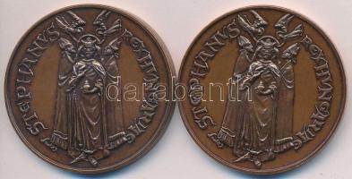 1996. "Millecentenárium - Szent István - Hódmezővásárhely" Br emlékérem (2x) mindkettő dís...