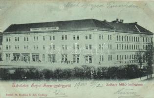 Sepsiszentgyörgy, Székely Mikó kollégium / boarding school (EK)