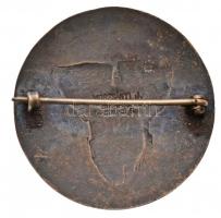 Osztrák-Magyar Monarchia 1914-1918. "10. Lovas Hadosztály" zománcozott, ezüstözött fém jel...