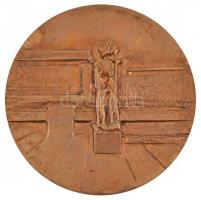 Kiss Sándor (1925-1999) DN "Salgótarján Város Tanácsától" Br plakett eredeti tokban (96mm)...