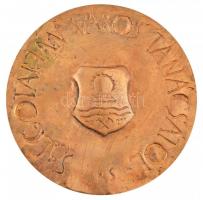 Kiss Sándor (1925-1999) DN "Salgótarján Város Tanácsától" Br plakett eredeti tokban (96mm)...