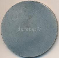 1968. "Salgótarjáni Acélárugyár 1868-1968" ezüstözött fém emlékérem (50mm) T:2