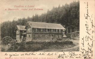 Mariánská studánka, Zvicina (Bade Marienbrunn am Zwicinberg) Lazne / forest spa house (Rb)