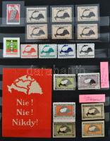 I. világháború utáni 16 db irredenta bélyeg + 3 db próbanyomat szövegmagyarázattal