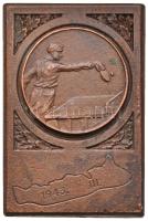 1943. "Asztalitenisz 1943. III." Br díjplakett (59x40mm) T:2