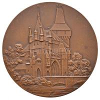 1970. "Országos Junior csapatbajnokság" Br plakett (70mm) T:2