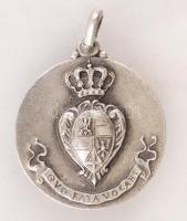 Ezüst (Ag.)Saluzzoi könnyűlovasság címeres medál, (Cavalleggeri di Saluzzo) jelzett, 8,8gr., d:2,5cm/(Ag.) Silver pendant (Cavalleggeri di Saluzzo) marked, 8,8gr,  2,5cm