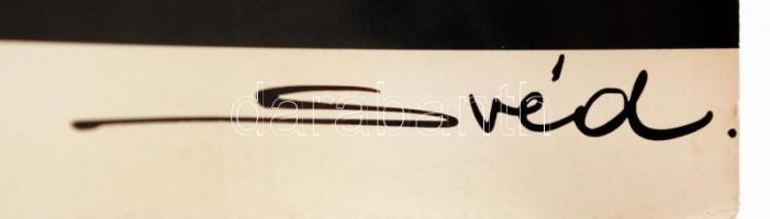 Svéd István: Virágos hölgy profilja, jelzett fotó, egyik sarkán törésnyommal, 30x18 cm