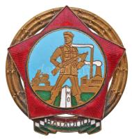 ~1950. "Határőr" zománcozott fém jelvény (55mm) T:2